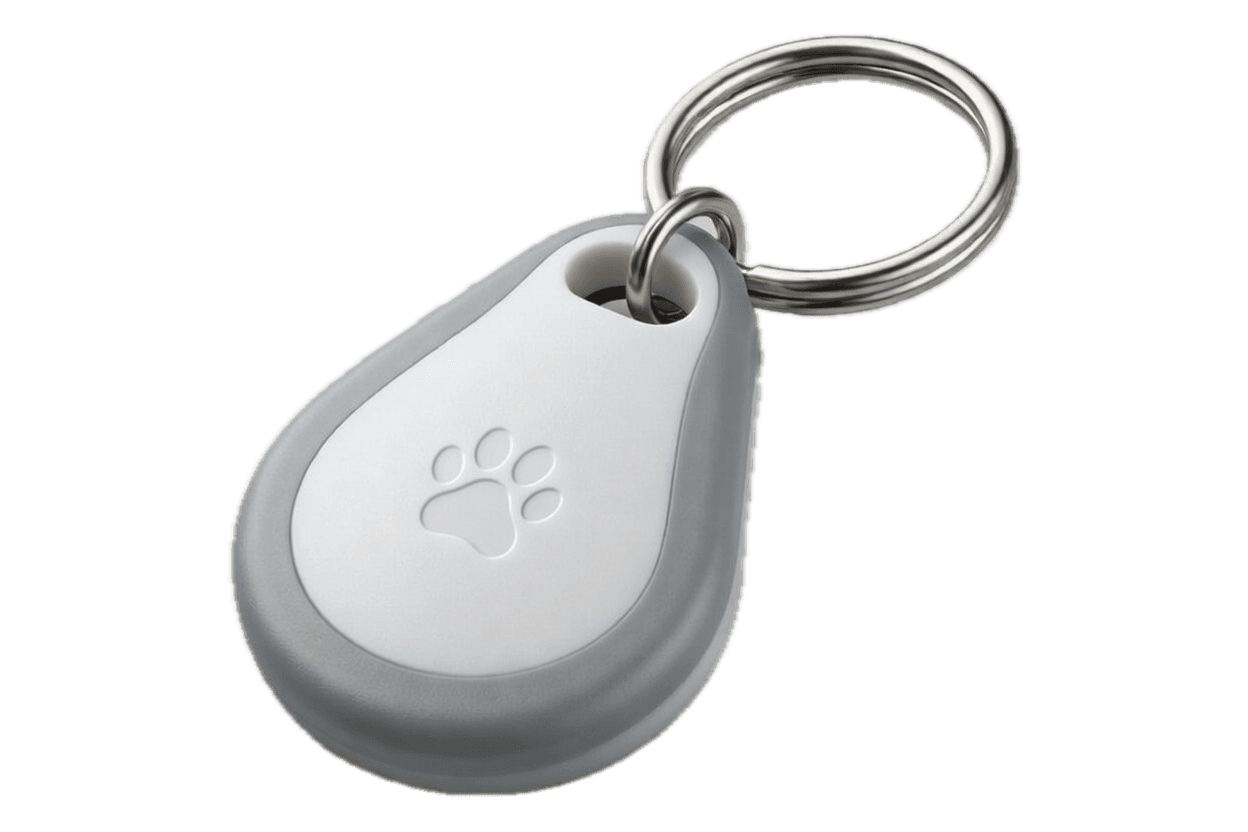 Pet Tag with Call & WhatsApp Masking-4